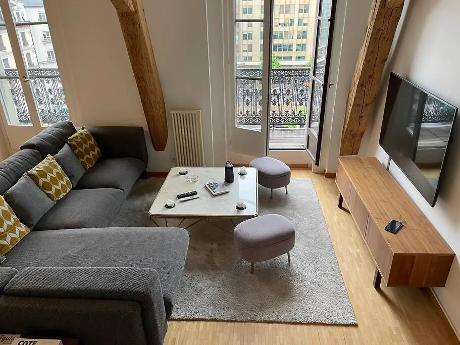 Apartment Rive Lake Rhone Flat Geneva