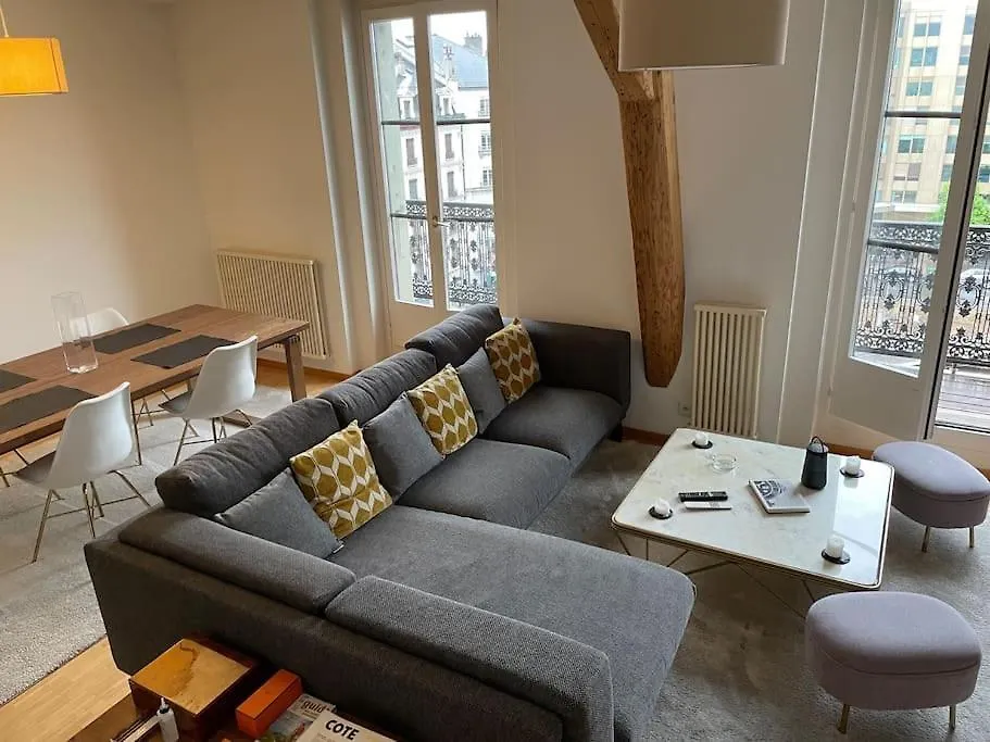 Rive Lake Rhone Flat Geneva Apartment