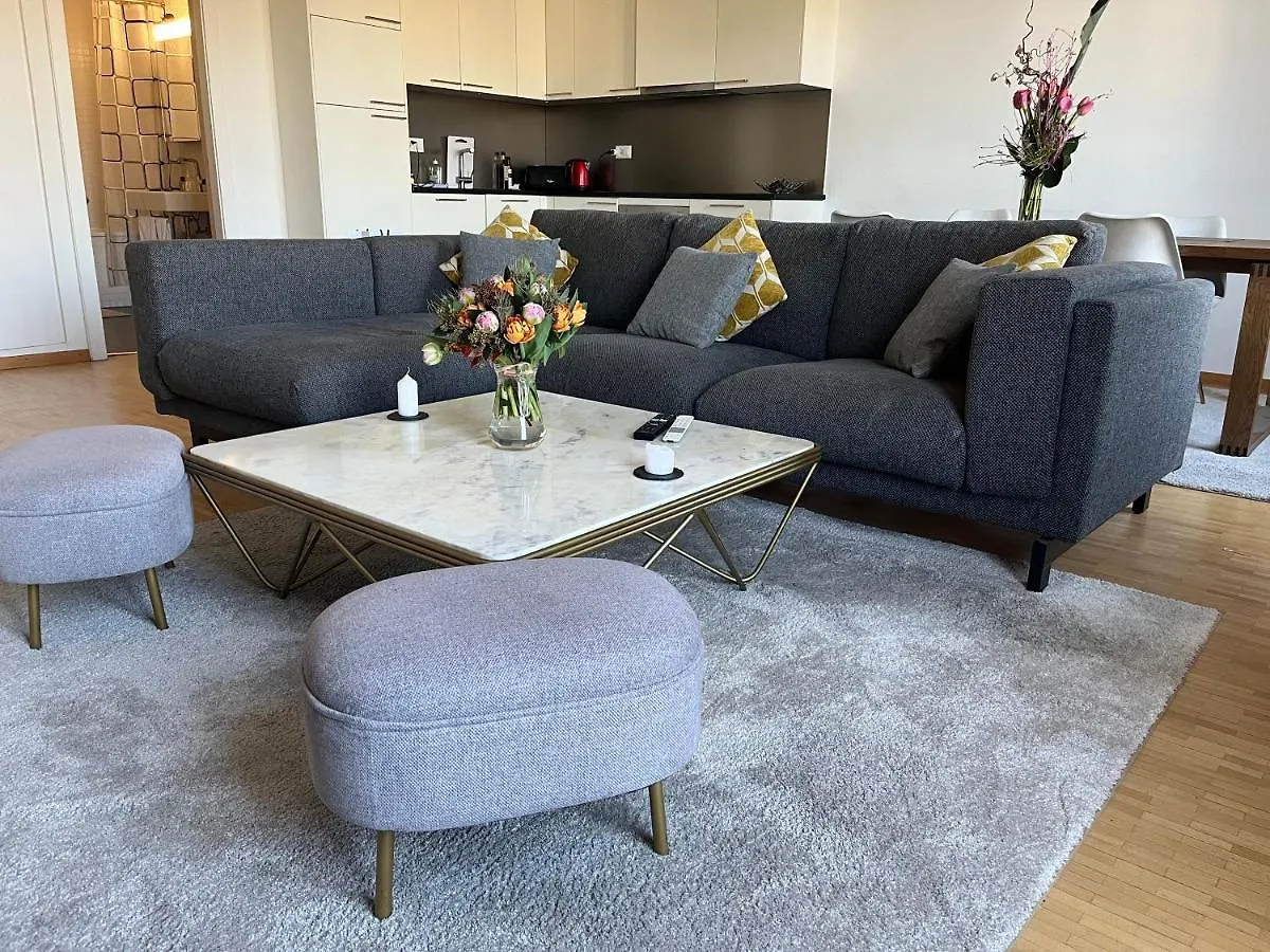 Rive Lake Rhone Flat Geneva