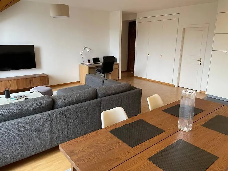 Rive Lake Rhone Flat Geneva