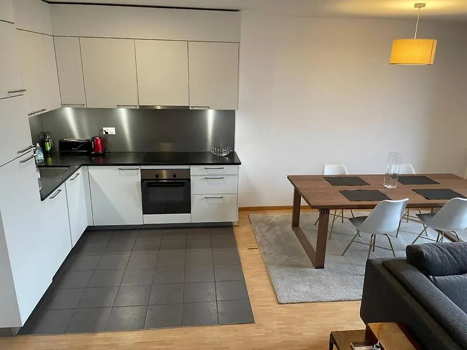 Apartment Rive Lake Rhone Flat Geneva Switzerland