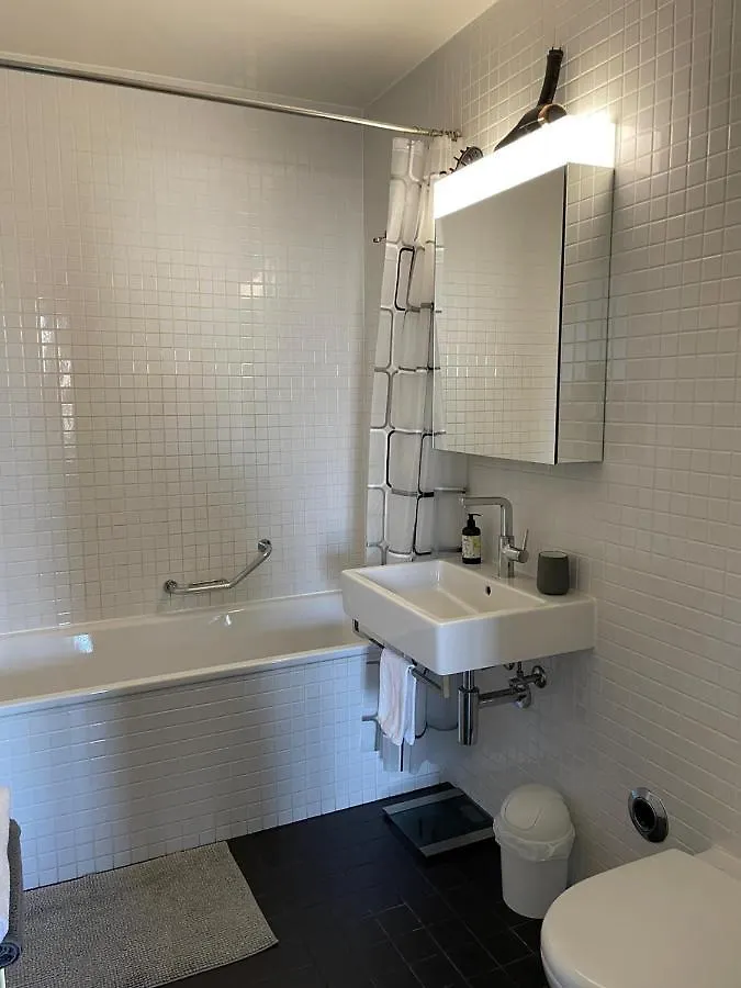 Rive Lake Rhone Flat Geneva Apartment